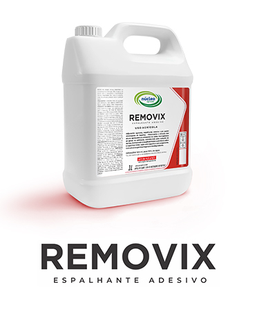 REMOVIX